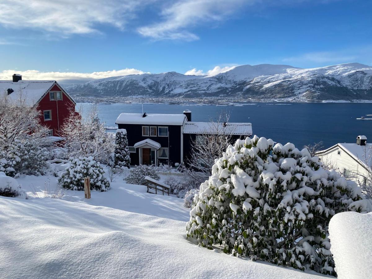 Great Place With View To The Mountains And Fjord Apartment *
